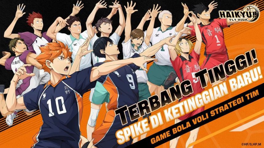 Haikyu Fly High