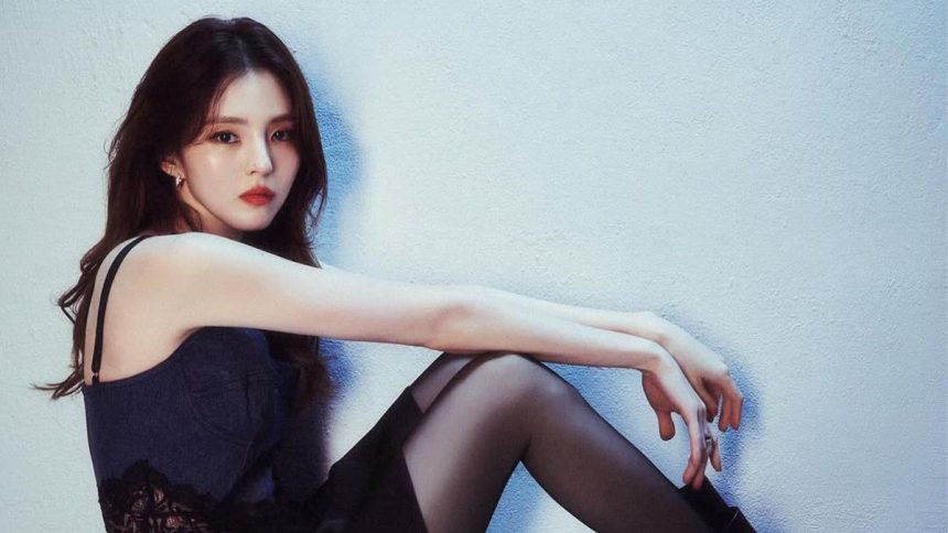 Han So Hee Gelar Fan Meeting