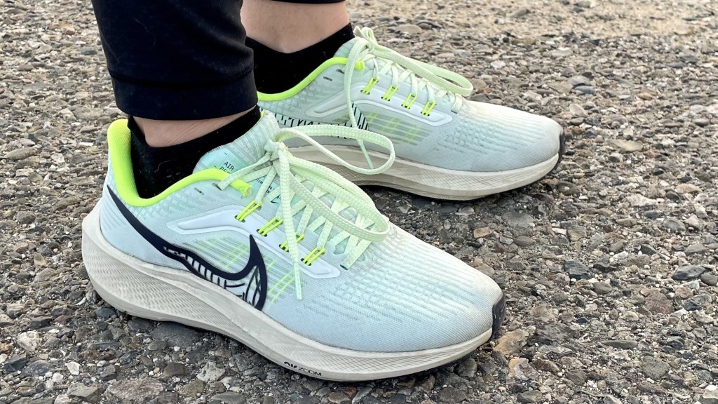 Nike Air Zoom Pegasus