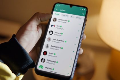 WhatsApp Tidak Bisa Digunakan karena Spam
