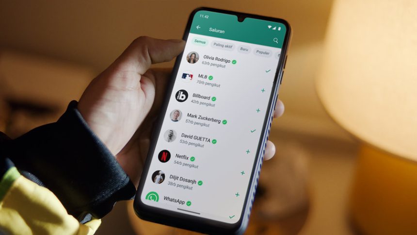 WhatsApp Tidak Bisa Digunakan karena Spam
