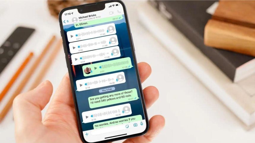 WhatsApp Tidak Bisa Putar Audio Suara