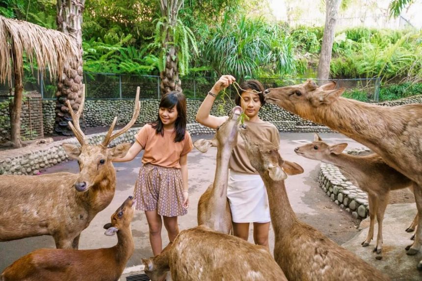 liburan keluarga Bali